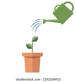simple plants with green leaves in the pot.