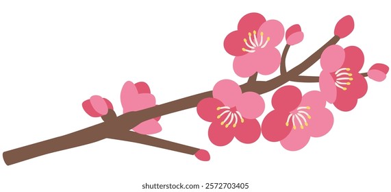 Simple plum blossom vector illustration