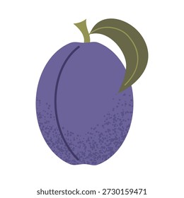 Simple plum illustration. Fresh plum fruit. Healthy food concept. Minimal flat vector design for interior, poster, cover, banner. Isolated on white background.