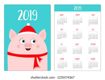 Simple pocket calendar layout 2019 new year. Pig head in red winter hat and scarf. Week starts Sunday. Cute cartoon character. Vertical orientation. Flat design. Blue background. Vector