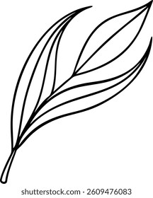 Simple Pointed Willow Leaf Outline with a Curved Shape Vector Silhouette