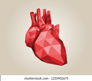 Simple Polygonal Human Red Anatomical Heart Vector Illustration