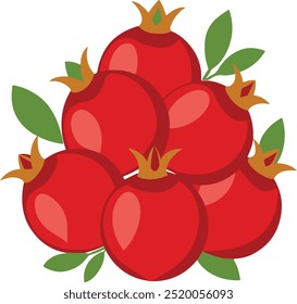 Ilustração em romã vetorial, fruta romã madura, nome científico Punica granatum, isolado em fundo branco.