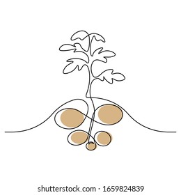 Diseño sencillo de la planta de patatas en estilo de dibujo en línea continua. Cultivando papas en el campo. Ilustración del vector