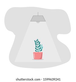 Simple potted plant vector with lamp on background.Great for invitation, greeting card, packages, wrapping, etc. Botanical illustration design.