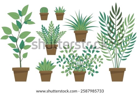 simple potted plants room pot plant palm