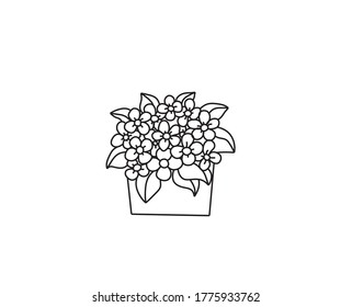 Simple potted violets. Isolated flowers vector drawing. Colorless black and white violets doodle sketch.