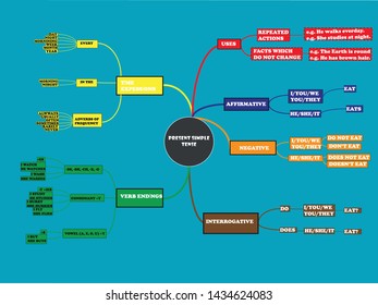 Simple Present Tense School Grammer 
English Grammar