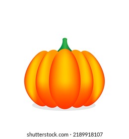 Simple pumpkin isolated on white background. Realistic vector illustration of autumn pumpkin EPS10
