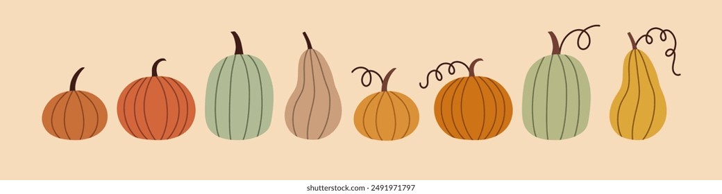Juego de calabaza simple. Otoño conjunto de Elementos de diseño dibujados a mano lindo y acogedor. Otoño, Día de Acción de Gracias, Temporada de calabazas. 