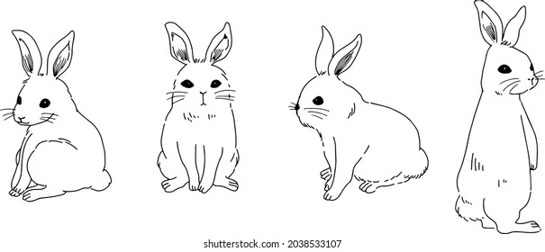 A simple rabbit with only line drawings