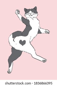 Simple and realistic cat Postcard.