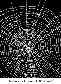 Simple Realistic White Spider Web Vector Illustration. Simple White Cobweb Isolated on a Black Background. Lovely Halloween Vector Layout. Irregular White Cobweb Shape. 