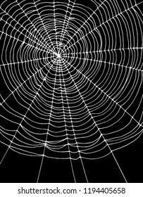 Simple Realistic White Spider Web Vector Illustration. Simple White Cobweb Isolated on a Black Background. Lovely Halloween Vector Layout. Irregular White Cobweb Shape. 