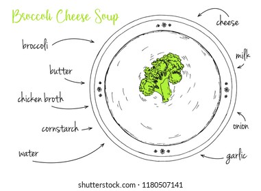 A simple recipe for broccoli soup. Vector illustration of a sketch style.