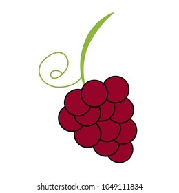 simple red grape vector.