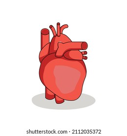 corazón rojo simple, vector para dibujo médico