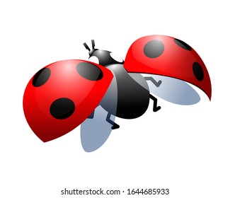 simple red ladybug with opened spotted wings, symbol of bright colors, for logo, icon or emblem, vector illustration isolated on white background in clip art style