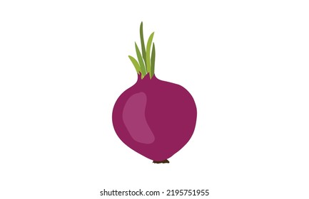 Simple red onion clipart vector illustration isolated on white background. Red onion root vegetable cartoon style. Onion sign icon. Organic food, vegetables and restaurant concept