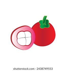 Simple red sweet mangosteen fruit vector 