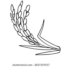 Simple rice stalk vector illustration with black outline