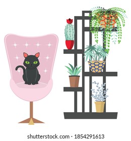 El diseño de las habitaciones es sencillo, con un gato negro, una silla de arte y una ilustración de las plantas de la casa.