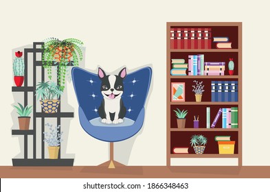 Simple room design with Boston terrier, art chair and house plants illustration.