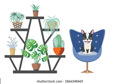 Simple room design with Boston terrier, art chair and house plants illustration.