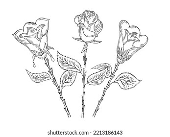 A simple rose. Contour drawing on a white background. For decorating invitations, cards, fabric printing and your decor