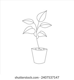 dibujo de esquema de árbol de goma simple