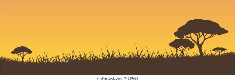 simple safari background