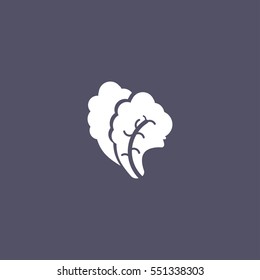 simple Salad icon