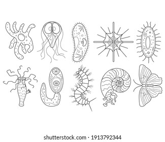 Einfache Schaltzeilensymbole von Wirbellosen, Einzeltieren und Bakterien. Es kann für die Gestaltung von biologischen und pädagogischen Texten, Websites verwendet werden.