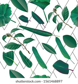 Simple seamless pattern with black geometric stripes and green tropical palm leaves on white background. Vector illustration with plants and bands. EPS 10