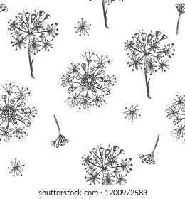 Simple seamless pattern with Realistic Botanical ink sketch ginseng flowers solated on white, floral herbs collection. Traditional chinese medicine plant. Vintage rustic vector illustration.