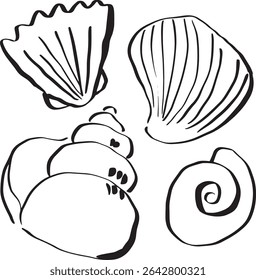 simple seashell illustrations, hand drawn vector drawings isolated on white background