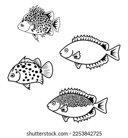 simple seawater fish collection set. fish, animal, sea, ocean, seafood, coral fish, food, aquarium, scat, spotted scat, black, white, simple, vector illustration.