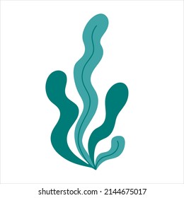Sencillas algas dibujadas a mano en forma de doodle. Ilustración vectorial.