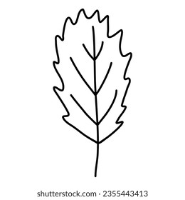 Hojas serradas simples, contorno vectorial plano de estilo doodle para libro de coloración