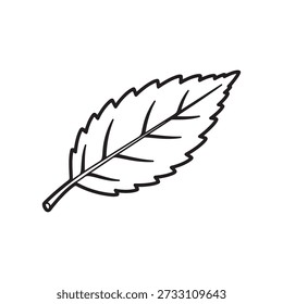 Simple hoja dentada, estilo doodle contorno de Vector plano para colorear libro
