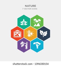 simple set of acacia, philodendron, tree leave, thermometer high temperature icons, contains such as icons landscape inside frame, rainy landscape, sprig with five leaves and more. 64x64 pixel