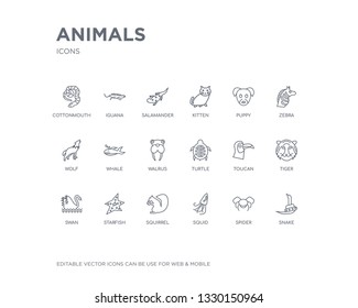 simple set of animals vector line icons. contains such icons as snake, spider, squid, squirrel, starfish, swan, tiger, toucan, turtle and more. editable pixel perfect.