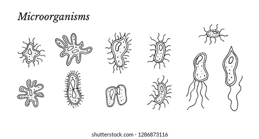 Simple set of bacteria, germs, micro-organisms, viruses, infusoria, body cells, cell division. probiotics and prebiotics