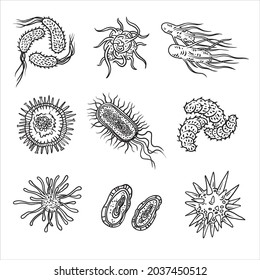 Conjunto simple de iconos de virus bacterianos para el diseño web