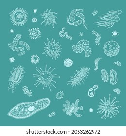 Simple set of bacteria virus icons for web design