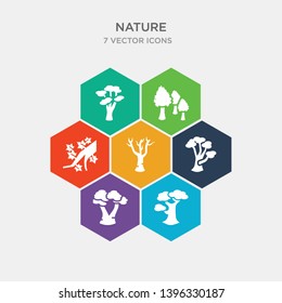 simple set of black birch tree, gray birch tree, paper birch tree, the maples icons, contains such as icons maple silver maple sugar maple and more. 64x64 pixel perfect. infographics vector