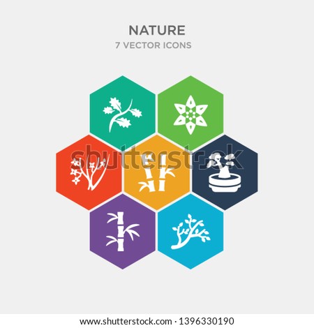 simple set of branches with leaves, bamboo branches, bonsai tree, bamboo plant from japan icons, contains such as icons ikebana flowers, flower of six petals from japan, branch with leaves and more.