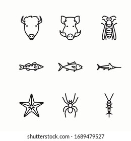 Simple Set Fauna Vector line Icons