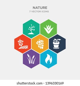 simple set of flame, reeds, plant pot, grapevine icons, contains such as icons vineyard, agave, tree growing and more. 64x64 pixel perfect. infographics vector