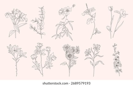 Conjunto Simples de Flor Ilustração Linha Arte Estilo Vintage para Decoração de Casamento ou Design Românico